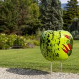 Une pomme réalisée par l'artiste Isabelle Pralong est exposée au Jardin botanique dans le cadre de l'exposition "Au fil des pommes" à l'occasion des 20 ans de l'association Partage. KEYSTONE/SALVATORE DI NOLFI